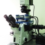JPK Nanowizzard 3 bio-AFM mounted on top of inverted microscope
